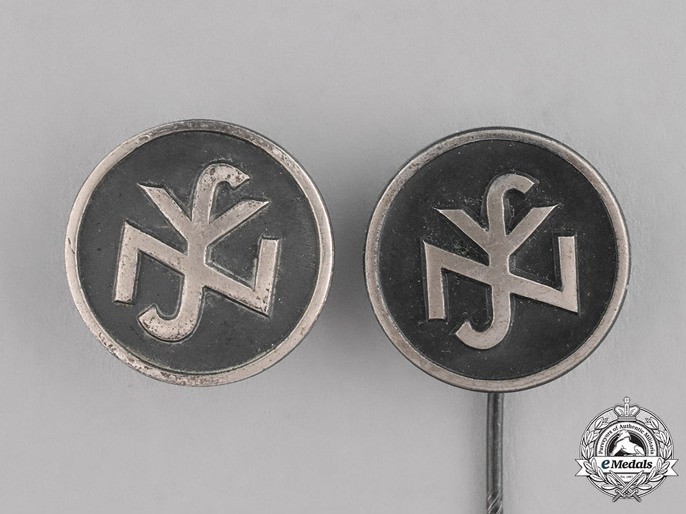 germany,_nsv._a_grouping_of_two_national_socialist_people’s_welfare_membership_insignia_c18-021815_1
