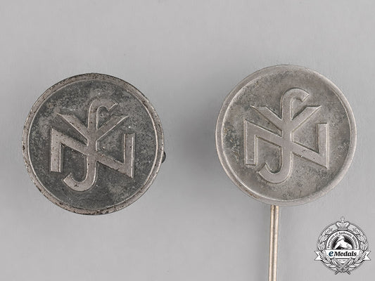 germany,_nsv._a_grouping_of_two_national_socialist_people’s_welfare_membership_insignia_c18-021822