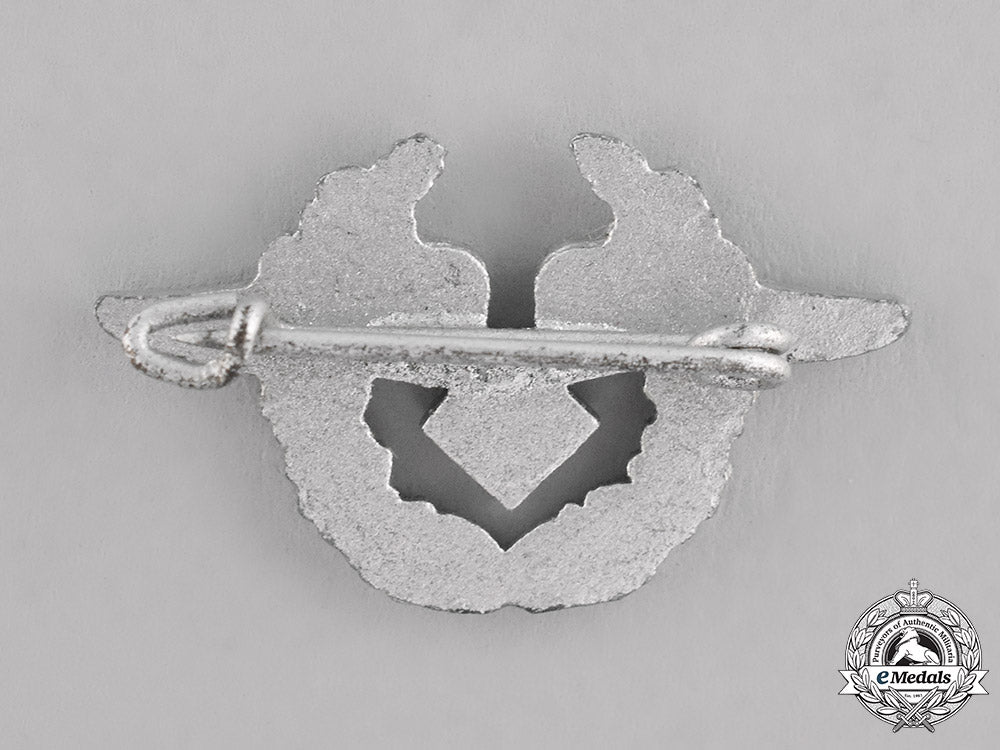 germany._a_luftwaffe_civilian_employee’s_pin_c18-021849