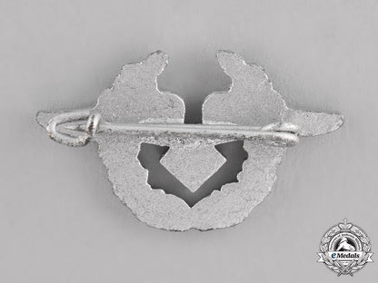 germany._a_luftwaffe_civilian_employee’s_pin_c18-021849