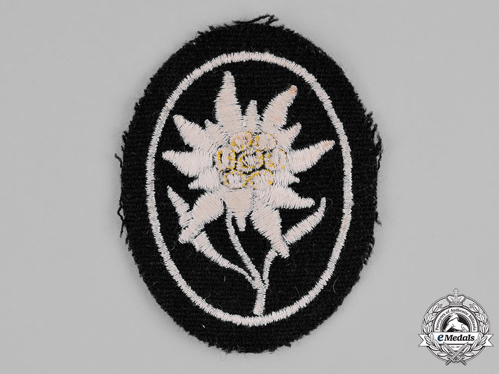 germany,_waffen-_ss._a_mountain_troop_sleeve_edelweiss_patch_c18-021917