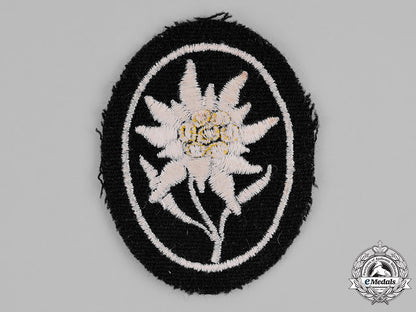 germany,_waffen-_ss._a_mountain_troop_sleeve_edelweiss_patch_c18-021917