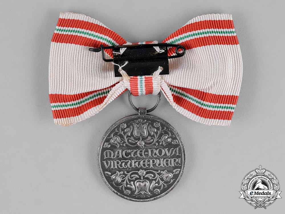hungary,_kingdom._a_red_cross_decoration,_silver_grade_medal_for_youth,_c.1930_c18-023099