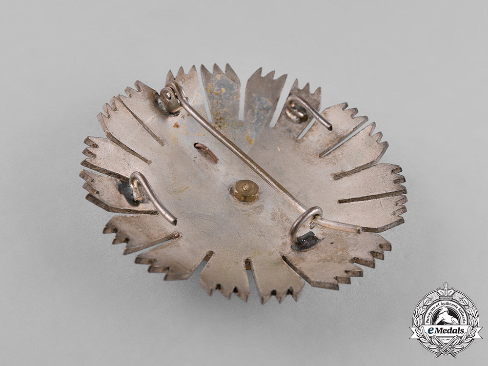 spain,_franco_period._a_municipal_police_breast_star_c18-023973