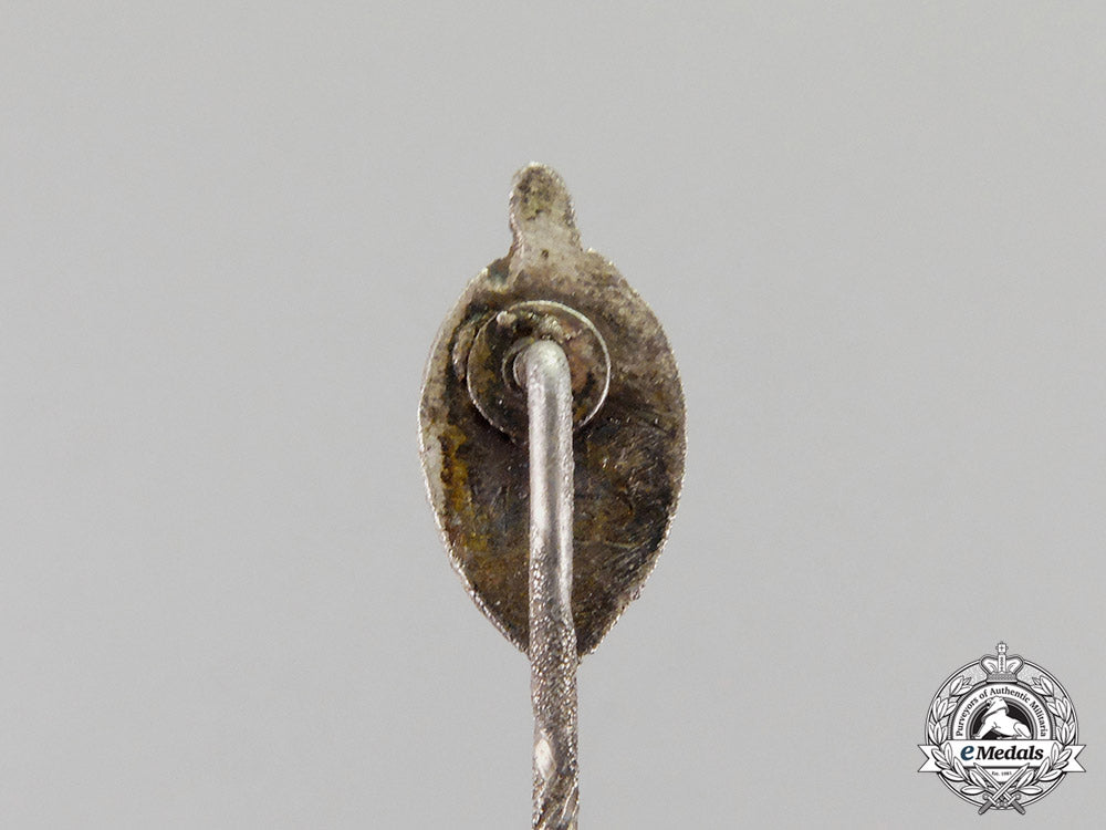 germany._two_nskov_membership_badges_and_stick_pins_c18-0243