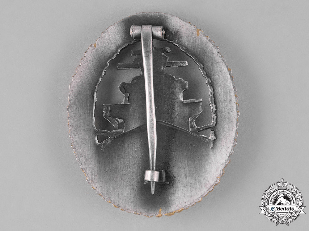 germany,_federal_republic._a_kriegsmarine_high_seas_fleet_badge,_alternative1957_version_c18-024370