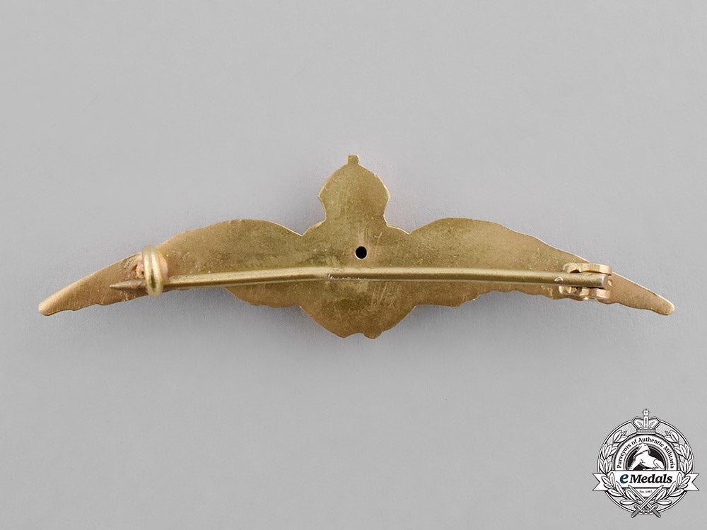 great_britain._a_fine_royal_flying_corps(_rfc)_men's_dress_wing_in_presentation_case_c18-024477