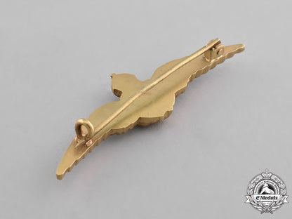 great_britain._a_fine_royal_flying_corps(_rfc)_men's_dress_wing_in_presentation_case_c18-024479