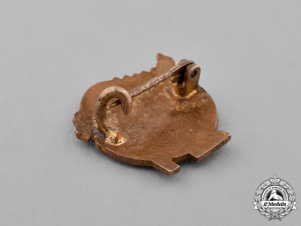 germany._an_unique_nsdap_supporter’s_pin_c18-024821