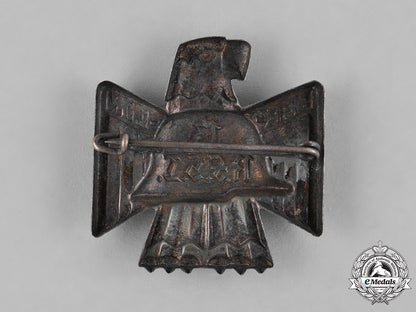 germany._a13_th_rfsi_rally_in_berlin_badge_c18-025725