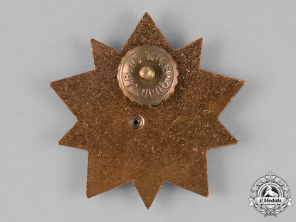 czechoslovakia,_republic._three_badges&_insignia_c18-025859