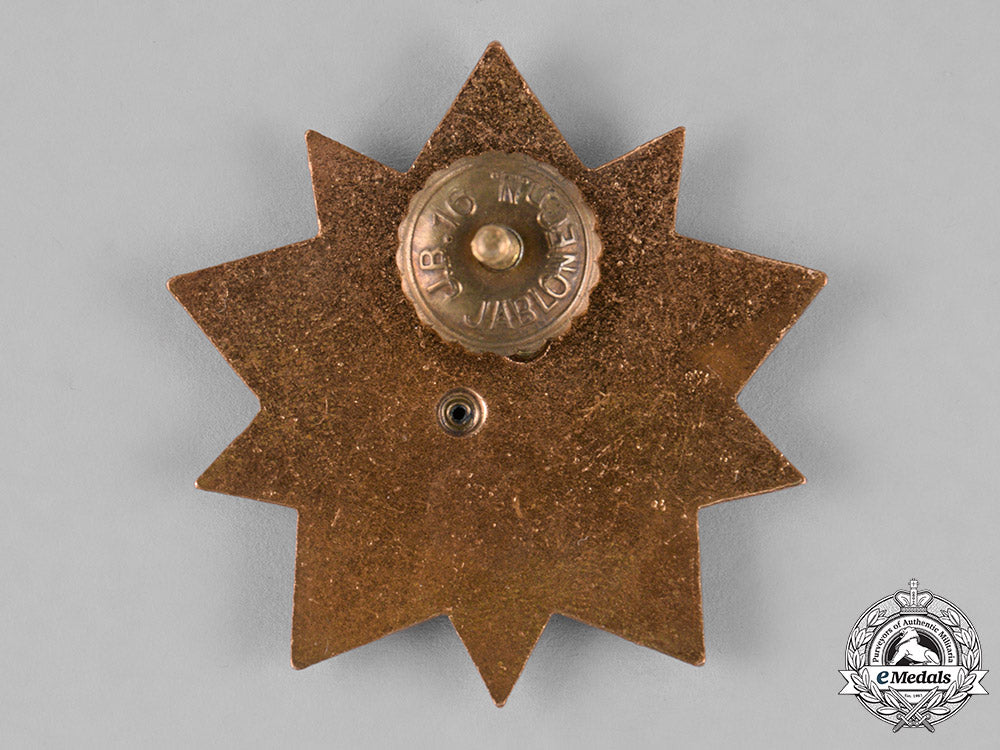 czechoslovakia,_republic._three_badges&_insignia_c18-025859