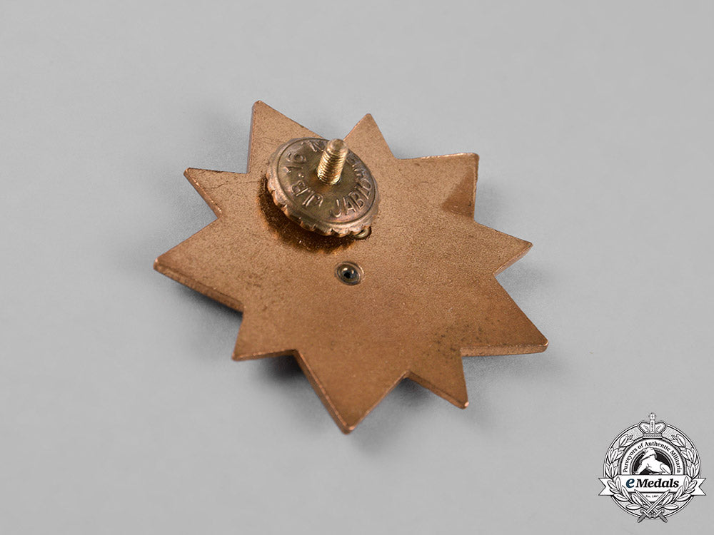 czechoslovakia,_republic._three_badges&_insignia_c18-025860