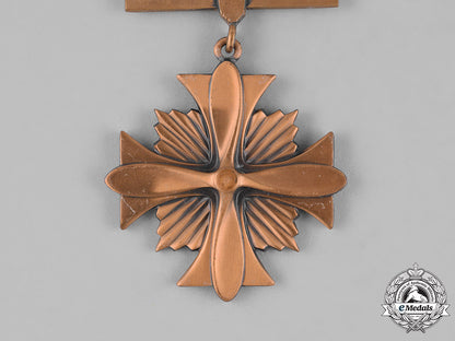 united_states._a_distinguished_flying_cross_group_to_j.l._dickens_c18-026550