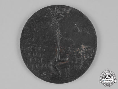 germany,_imperial._a1917_anti-_aircraft_war_donation_medallion_c18-027389