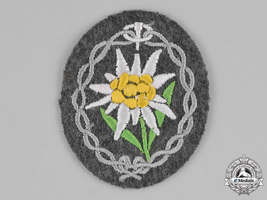 germany._a_mountain_troop_edelweiss_sleeve_insignia_c18-027407