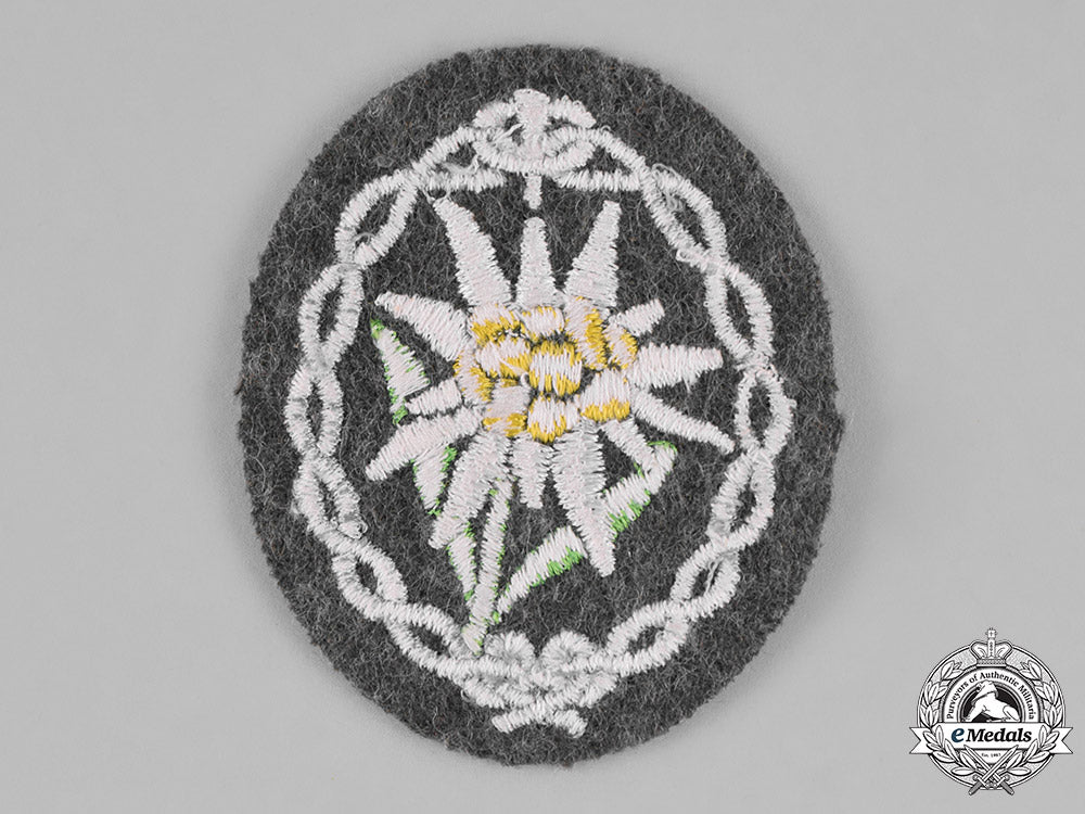 germany._a_mountain_troop_edelweiss_sleeve_insignia_c18-027408
