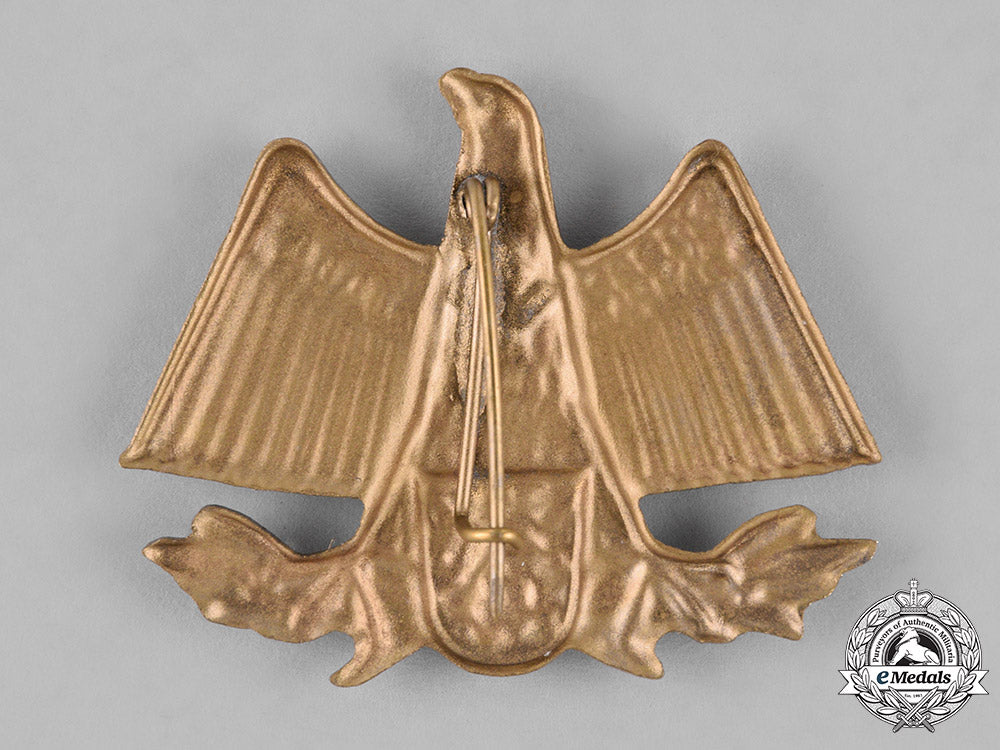 germany._a1935_nsdap_thüringen_celebration_badge_c18-027488