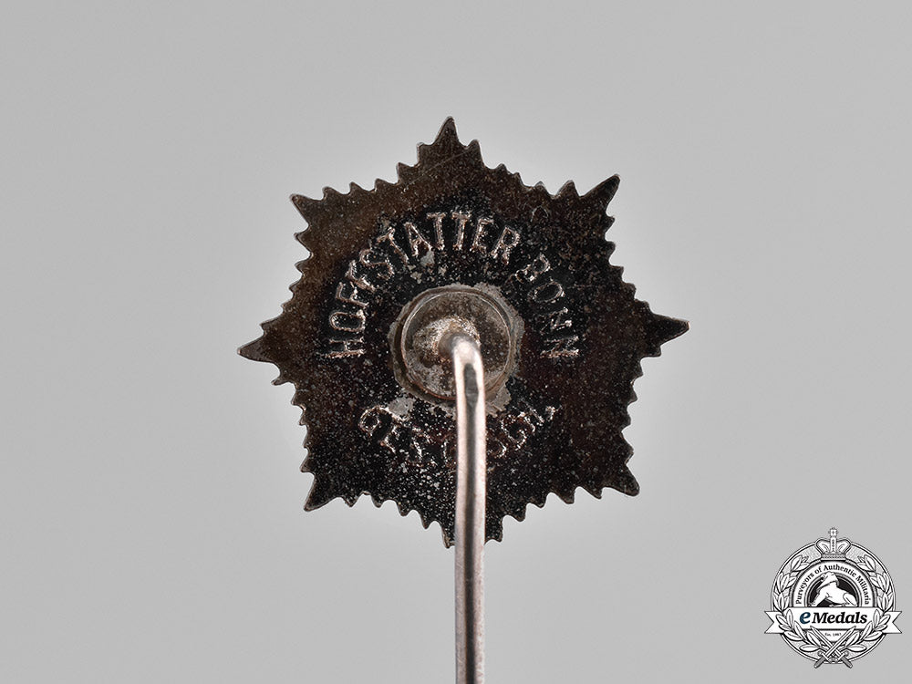 germany,_third_reich._a_national_air_raid_protection_league(_rlb)_membership_pin_by_ferdinand_hofstätter_c18-027543