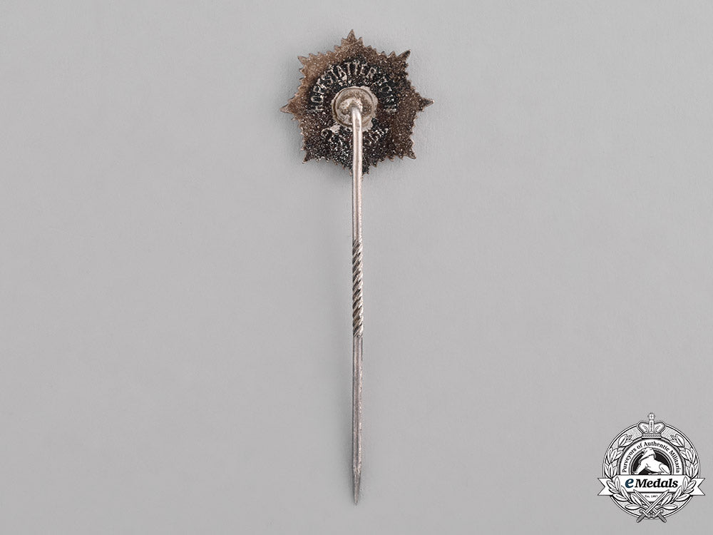 germany,_third_reich._a_national_air_raid_protection_league(_rlb)_membership_pin_by_ferdinand_hofstätter_c18-027545