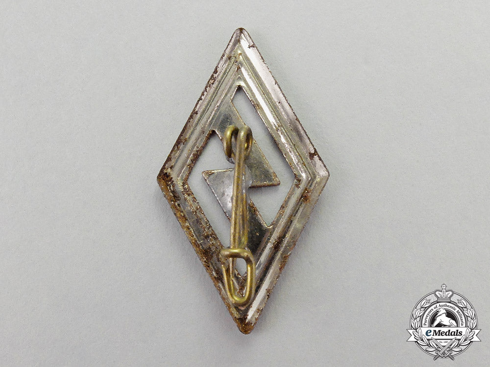 germany._two_youth_badges_and_pins_c18-0284