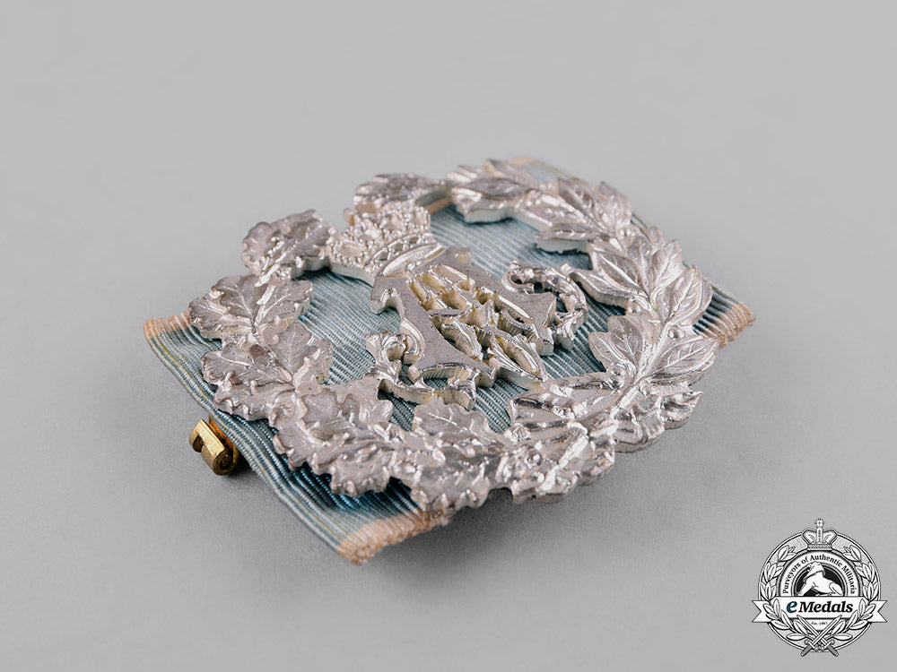 bavaria,_kingdom._a_prince_alfons_commemorative_medal_by_m._heinloth_c18-028702