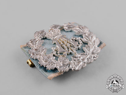 bavaria,_kingdom._a_prince_alfons_commemorative_medal_by_m._heinloth_c18-028702