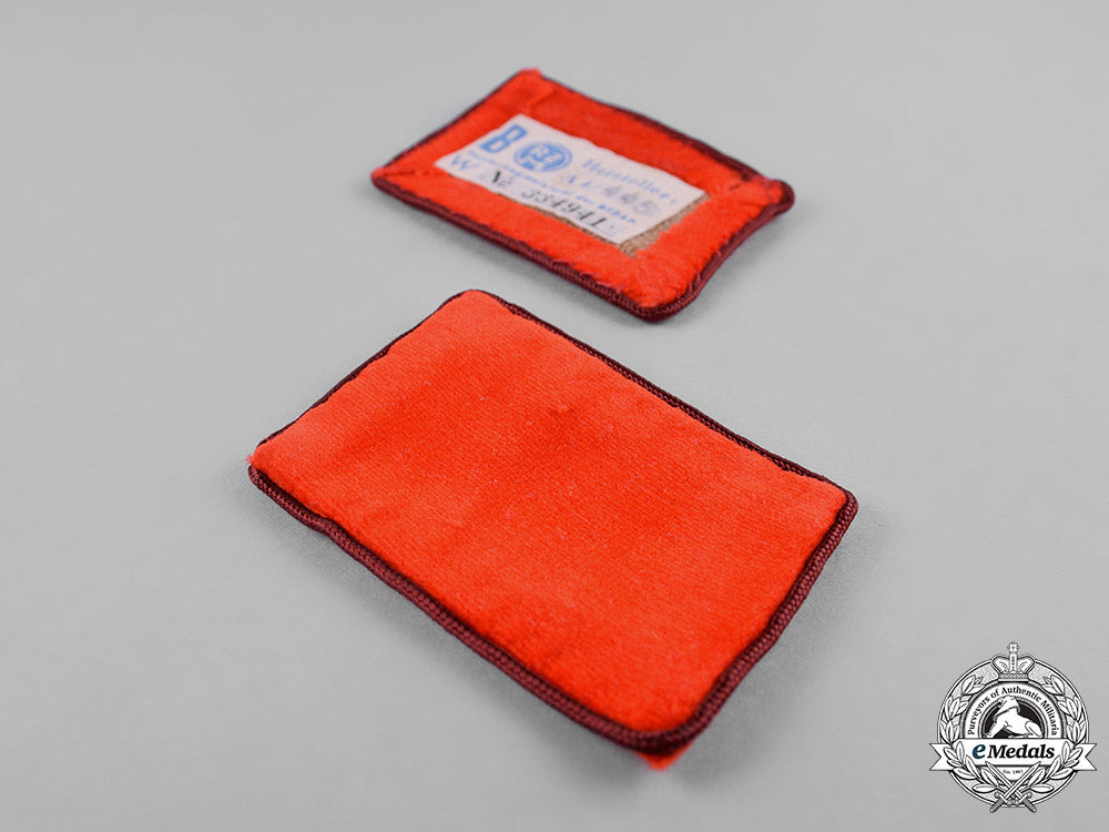 germany,_nsdap._a_set_of_nsdap_anwärter_collar_tabs,_rzm_marked_c18-029975