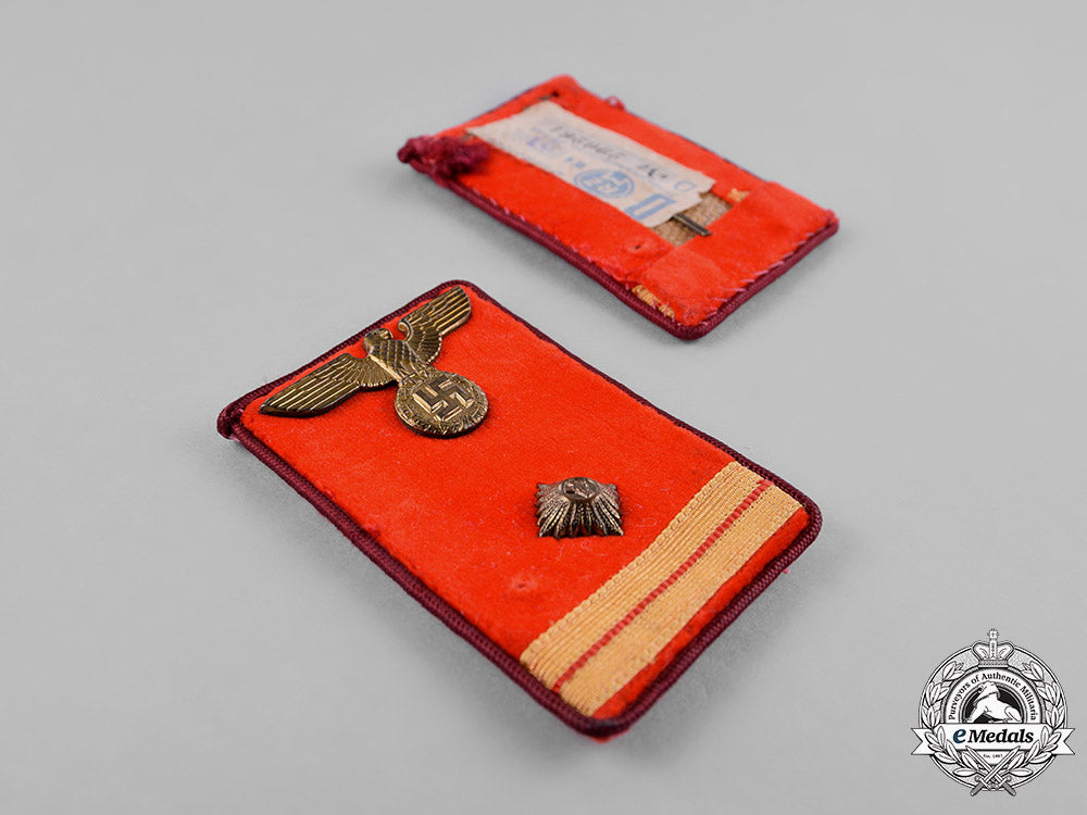 germany,_nsdap._a_set_of_nsdap_hauptarbeitsleiter_collar_tabs,_rzm_marked,_with_proof_tag_c18-029981