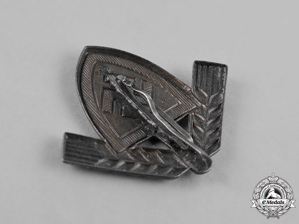 germany._a_grouping_of_third_reich_period_organization_cap_badges_c18-030115