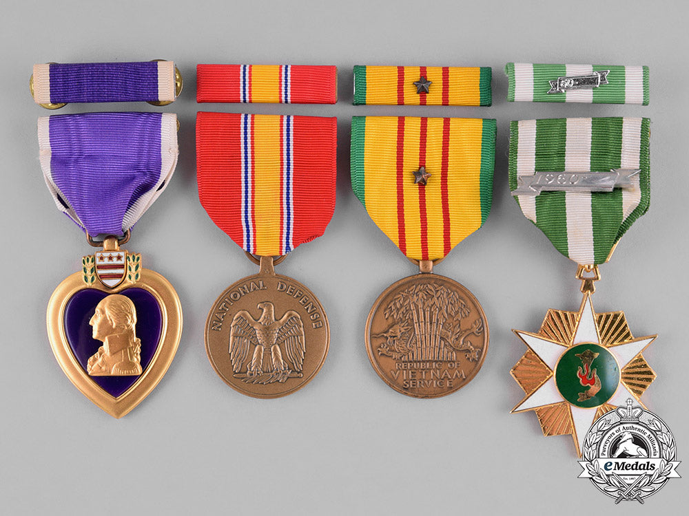 united_states._a_vietnam_war_purple_heart_group,_ambush_in_quảng_ngãi_province,_may25,1967_c18-031090
