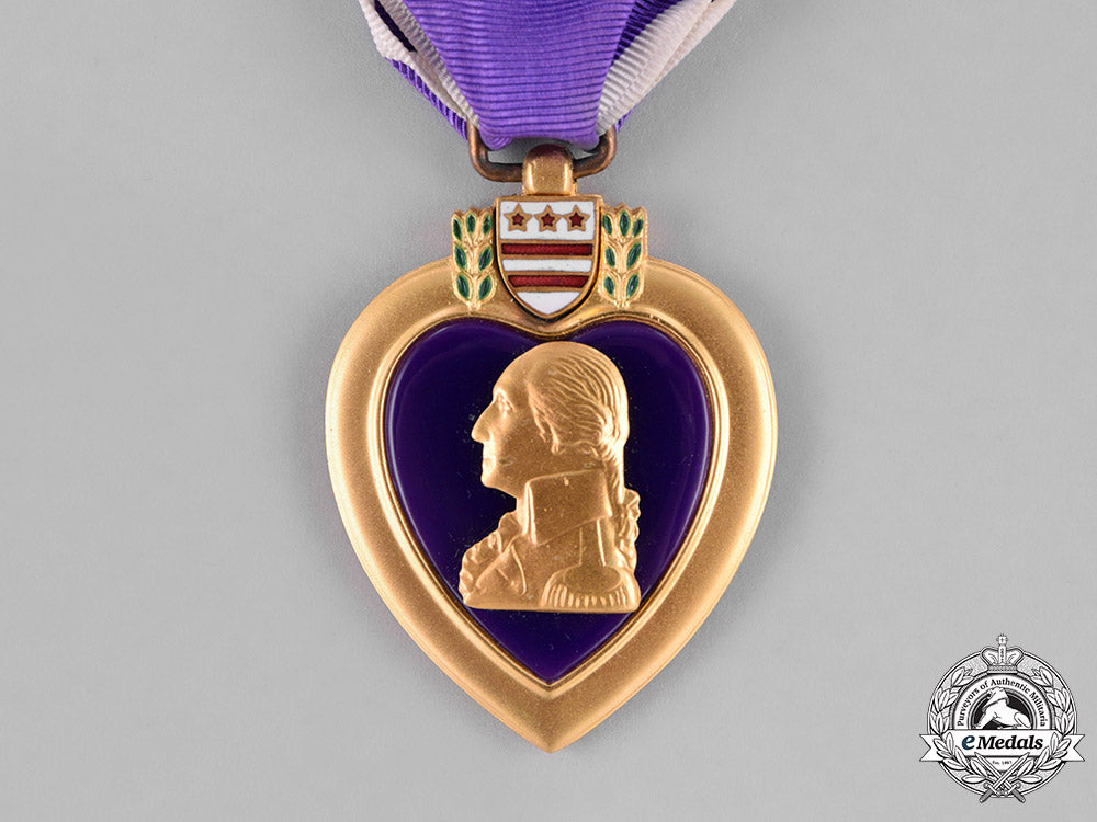 united_states._a_vietnam_war_purple_heart_group,_ambush_in_quảng_ngãi_province,_may25,1967_c18-031092