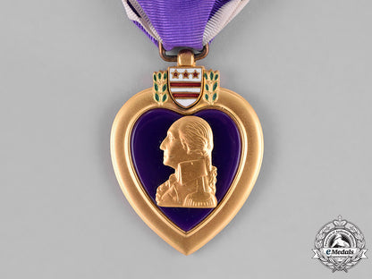 united_states._a_vietnam_war_purple_heart_group,_ambush_in_quảng_ngãi_province,_may25,1967_c18-031092