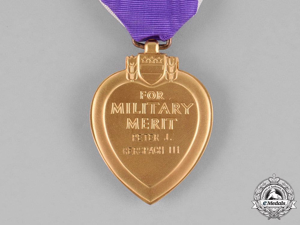 united_states._a_vietnam_war_purple_heart_group,_ambush_in_quảng_ngãi_province,_may25,1967_c18-031093