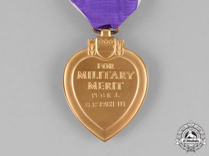 united_states._a_vietnam_war_purple_heart_group,_ambush_in_quảng_ngãi_province,_may25,1967_c18-031093