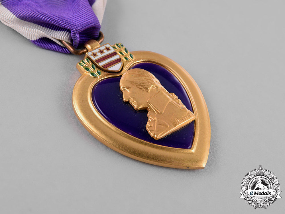 united_states._a_vietnam_war_purple_heart_group,_ambush_in_quảng_ngãi_province,_may25,1967_c18-031094