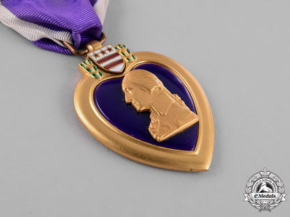united_states._a_vietnam_war_purple_heart_group,_ambush_in_quảng_ngãi_province,_may25,1967_c18-031094