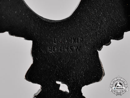 germany,_luftwaffe._a_pilot_badge,_type_i,_by_c.e._juncker_with_case_c18-032653