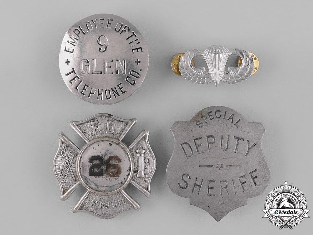 united_states._thirteen_assorted_badges_and_insignia_c18-033231