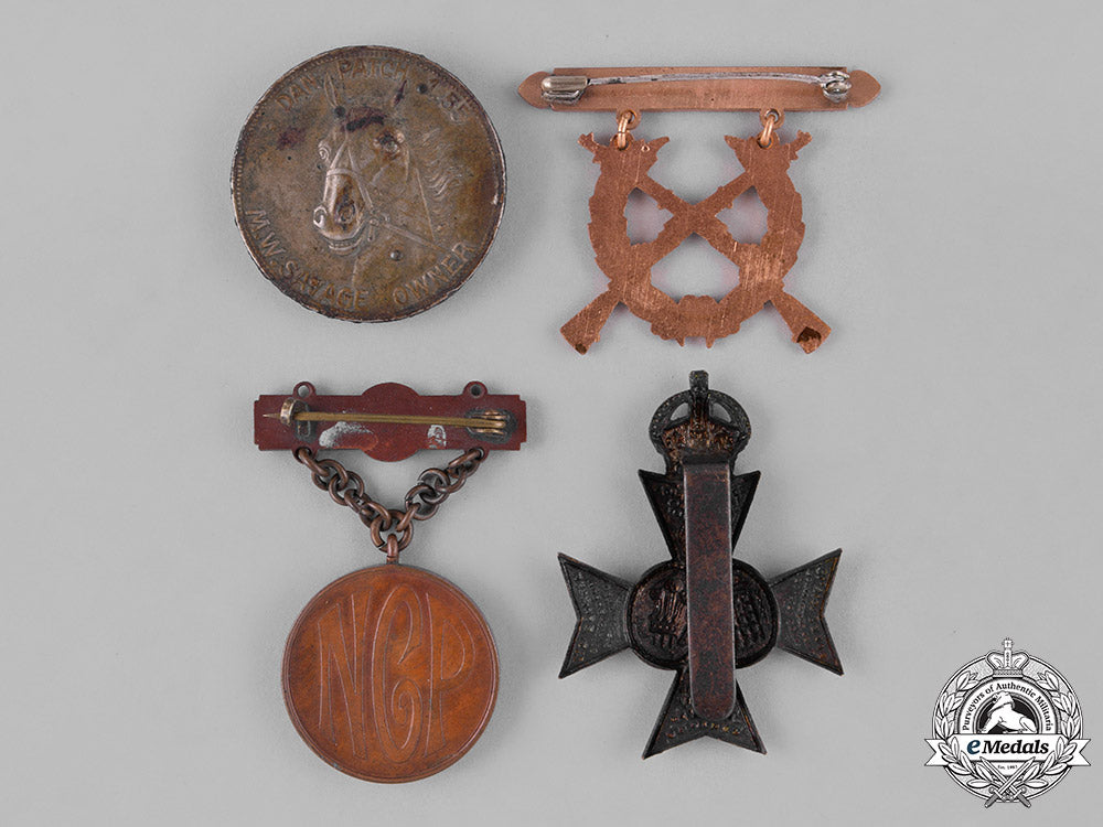 united_states._thirteen_assorted_badges_and_insignia_c18-033236