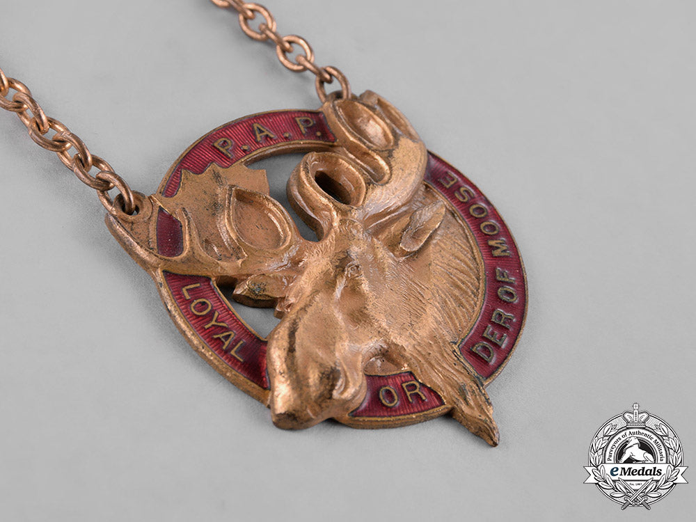 united_states._eight_association_badges&_insignia_c18-034818_1_1_1_1_1_1_1_1_1_1_1_1_1