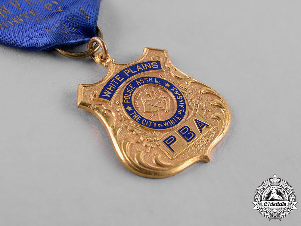 united_states._eight_association_badges&_insignia_c18-034819_1_1_1_1_1_1_1_1_1_1_1_1_1