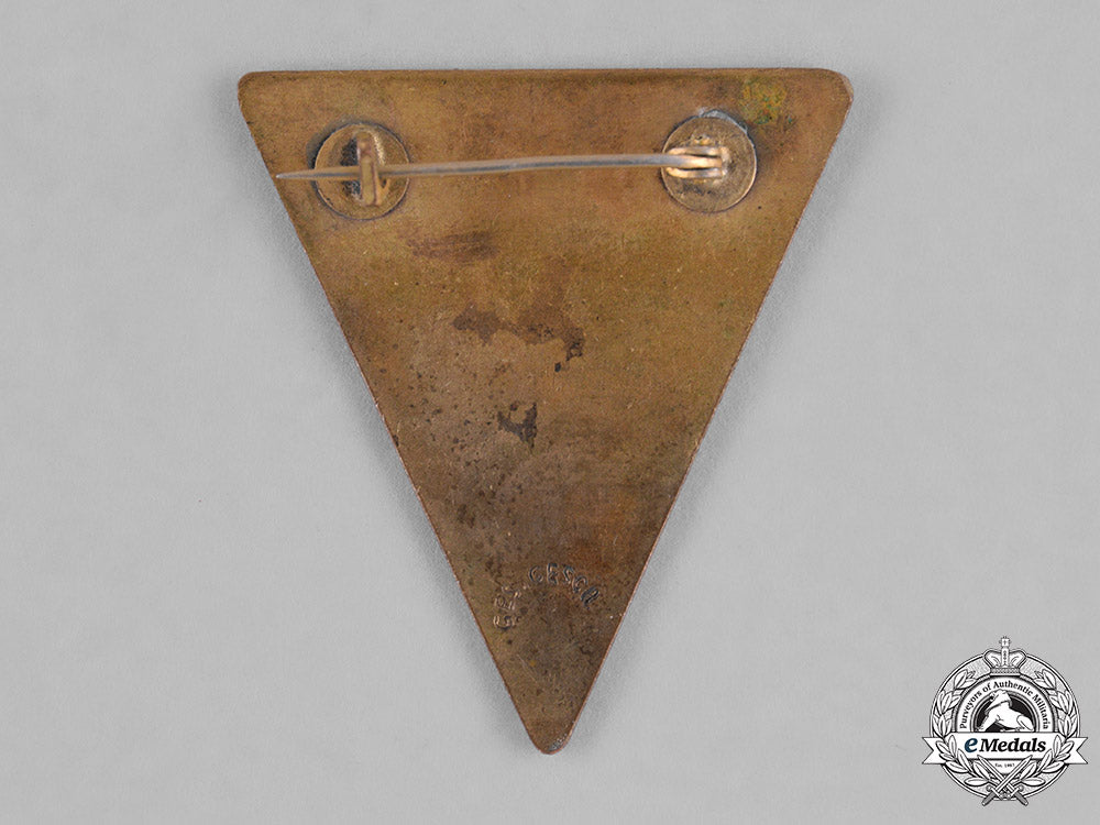 germany,_ns-_frauenschaft._a_national_socialist_women’s_league(_nationalsozialistische_frauenschaft)_member’s_badge_c18-035437