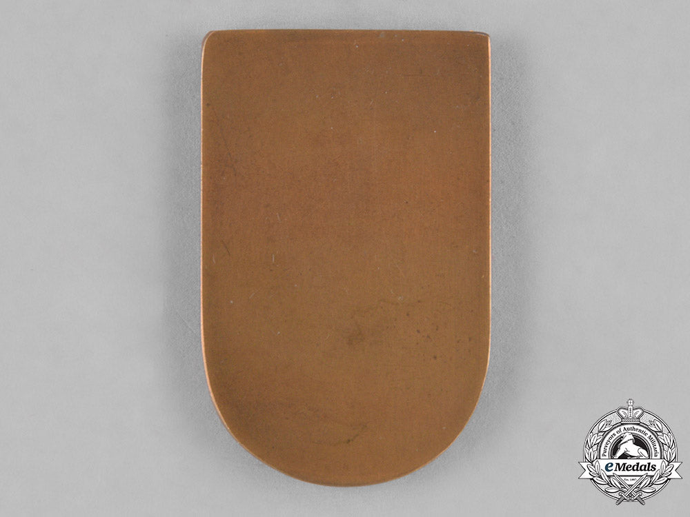 austria,_imperial._a1916_austro-_hungarian_italian_campaign_medallion_c18-035619