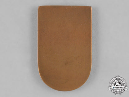 austria,_imperial._a1916_austro-_hungarian_italian_campaign_medallion_c18-035619