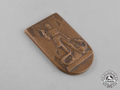 austria,_imperial._a1916_austro-_hungarian_italian_campaign_medallion_c18-035620