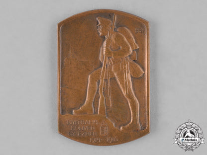 hungary,_kingdom._a_first_war_hungarian14_th_infantry_regiment_medallion_c18-035621