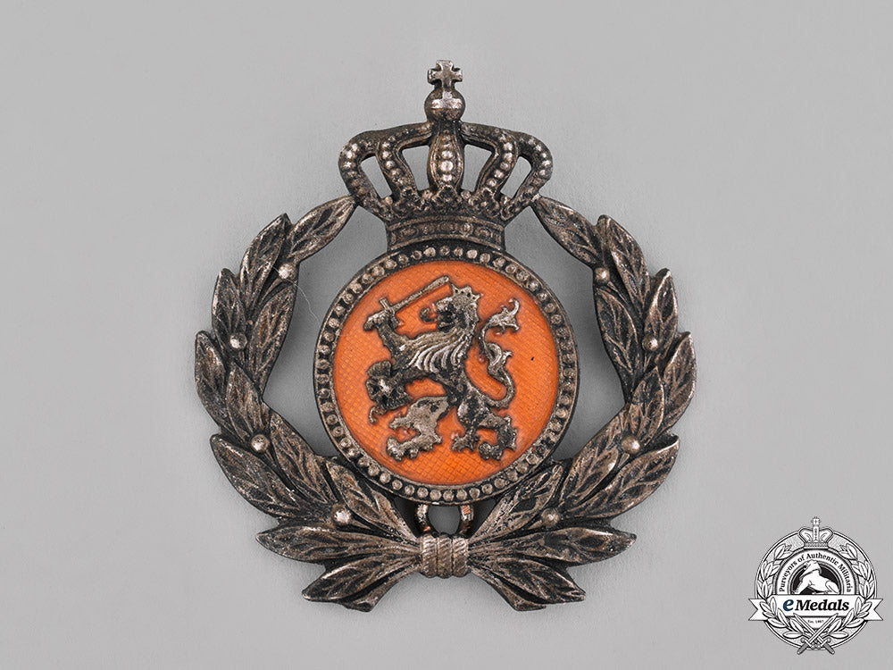 netherlands,_kingdom._a_grouping_of_dutch_badges_and_medals_c18-036874