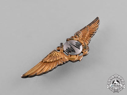 united_states._a_navy_air_force_radar_observer_qualification_badge,_by_hilborn&_hamburg_c18-038705