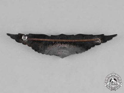 united_states._an_air_service_pilot_badge_by_a._johnson_of_new_york,_c.1918_c18-038717